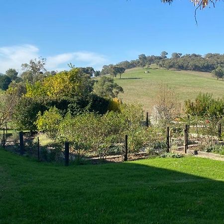 Mount Hope Estate Vineyard Leilighet Dixons Creek Eksteriør bilde