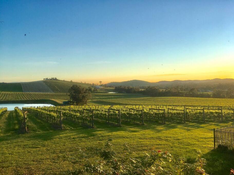 Mount Hope Estate Vineyard Leilighet Dixons Creek Eksteriør bilde