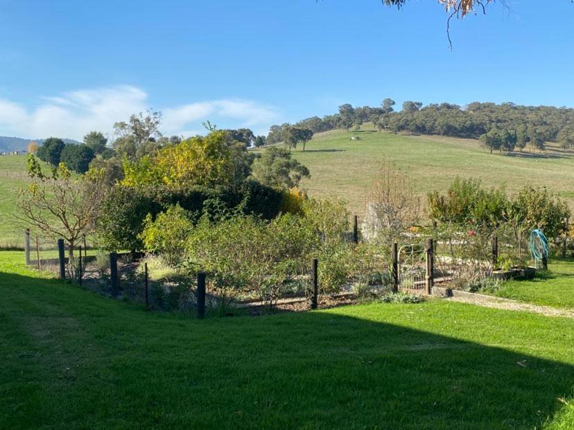 Mount Hope Estate Vineyard Leilighet Dixons Creek Eksteriør bilde